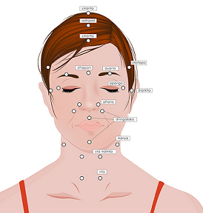 Points Marma visage